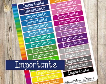 Cajitas en español - Importante  (planner boxes in Spanish- important)