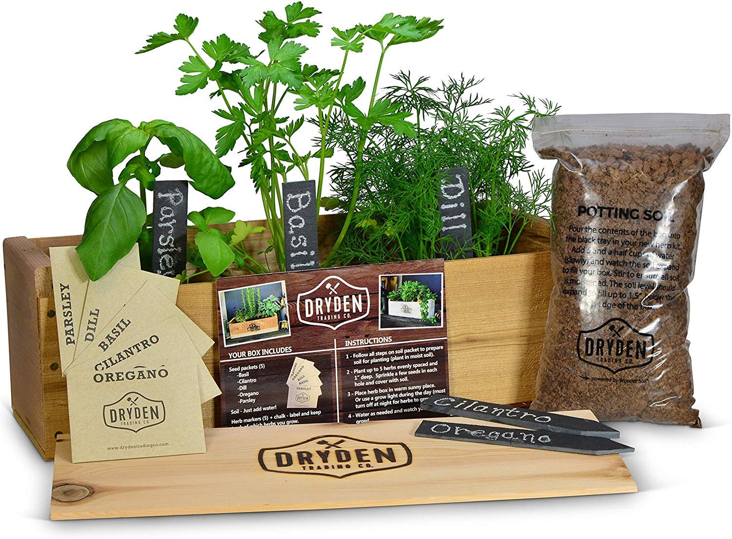 Kit Vintage d'Herbes Aromatiques Potager d'Intérieur (Thym Basilic Persil  Coriandre) - Graines Biologiques produites en Espagne - Kit Prêt à Pousser  pour Cultiver vos Herbes Facilement à la Maison : : Jardin