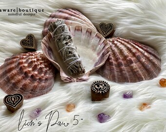 Abalone Shell | Lion's Paw Shell | Sacred Smoke Vessel | Sage Burner | Smudging Burner