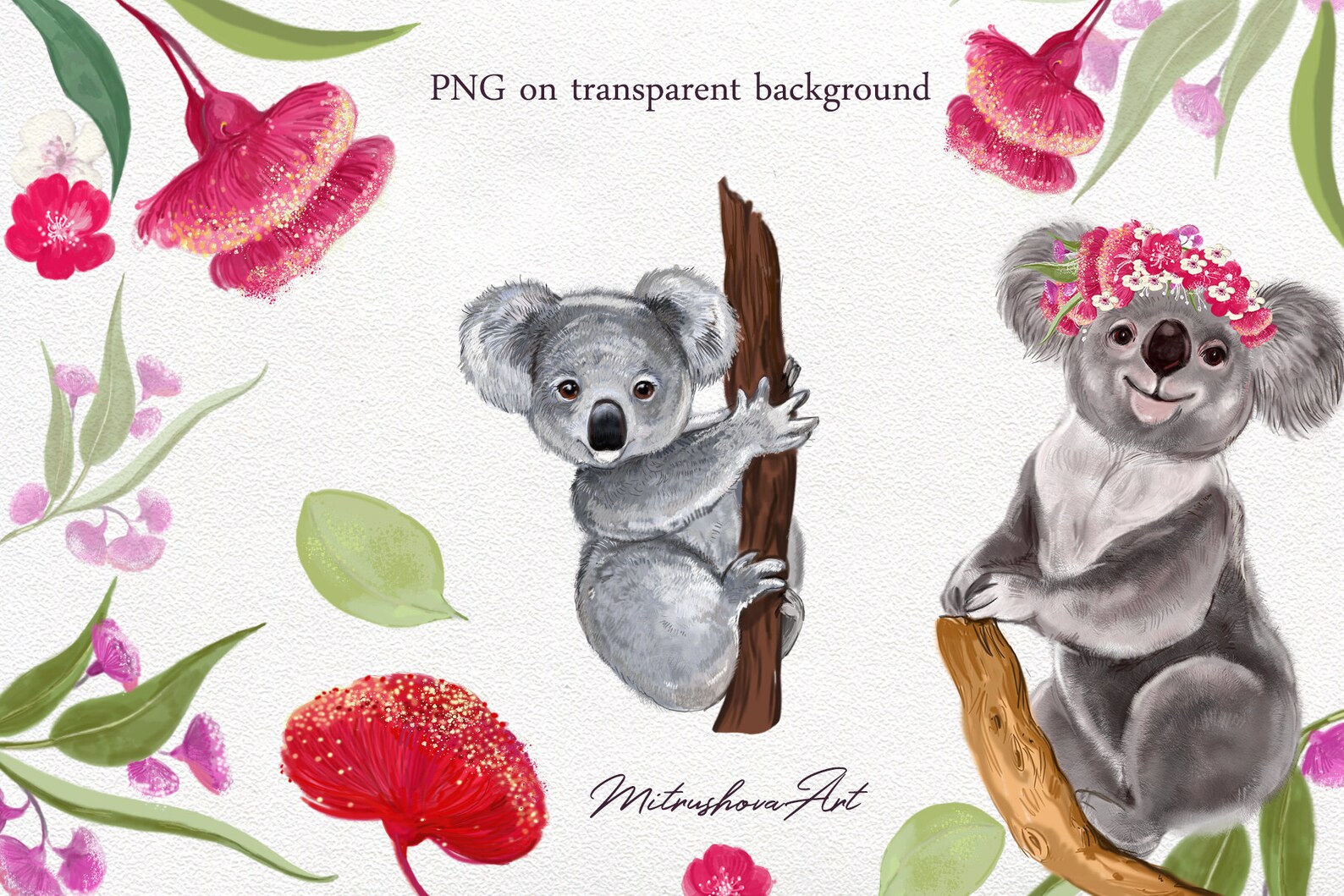 Cute Koalas Clipart Animal Clip Art PNG Australia Koalas Etsy