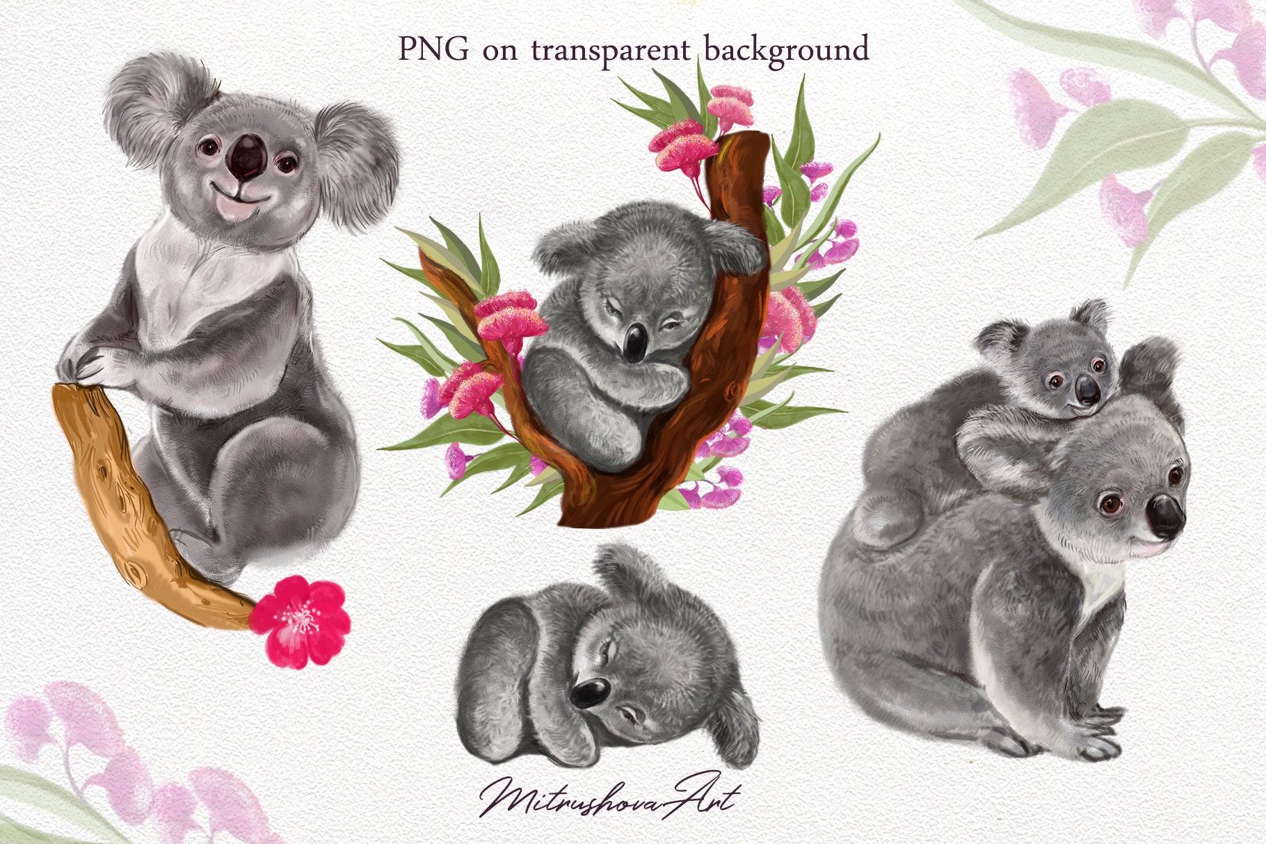 Cute Koalas Clipart Animal Clip Art PNG Australia Koalas Etsy