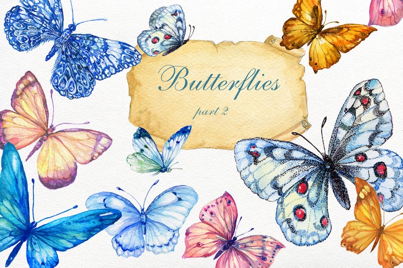 butterfly 16 PNG files part 2 watercolor clipart .watercolor hand painting