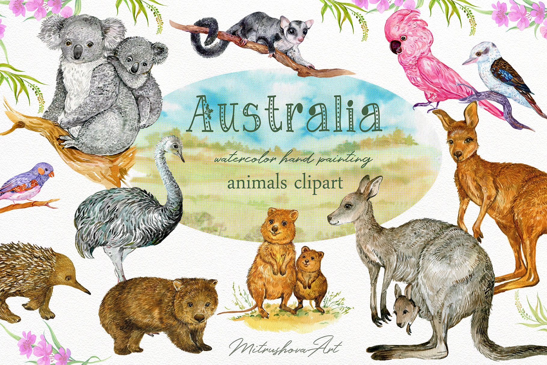 Животные австралии для детей