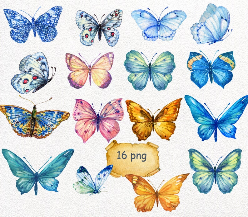 butterfly 16 PNG files part 2 watercolor clipart .watercolor hand painting