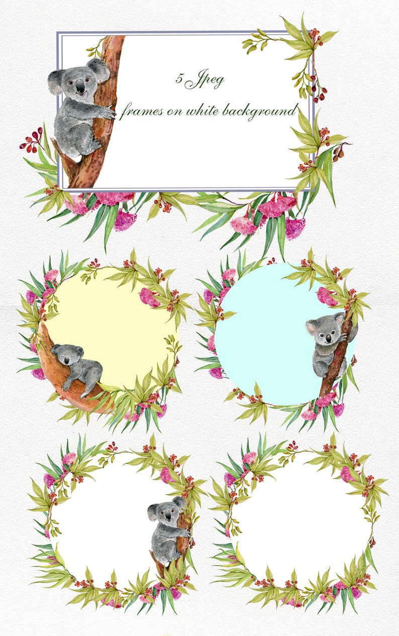 illustration.Koala Watercolor .Cute Animal Illustration.Australia Flower.eucalyptus leaves Animal graphics Koala Animals Clipart