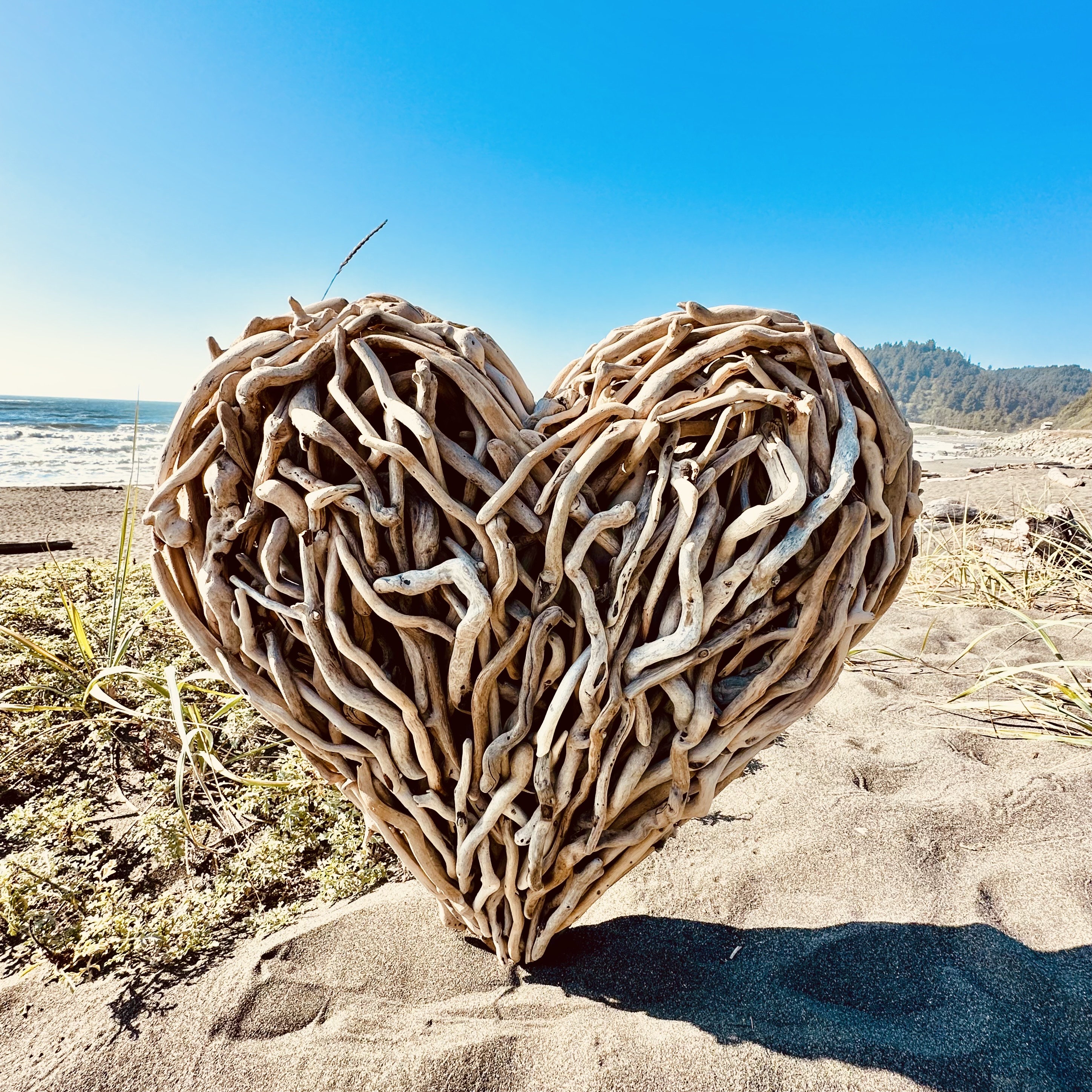 【美品】 DIVA D5.2 RC 164cm Hart ハート TYROLIA Driftwood Heart Extra Large - Etsy