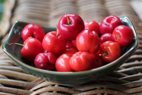 ciliegia acerola per perdita di peso