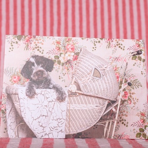Nieuwe Collectie Wenskaart Foto Foto Fine Art Puppy Baby Vintage Sfeer Ruwharige Hond
