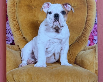 Valentine Card Greeting Card Photo Photograph English Bulldog Roses Love