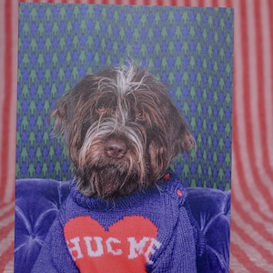 Tarjeta de felicitación para cualquier día Fotografía Bellas artes Perro peludo Vibraciones vintage Grifo de muestra de pelo duro Abrazos Mejórate Triste Enfermo Amor