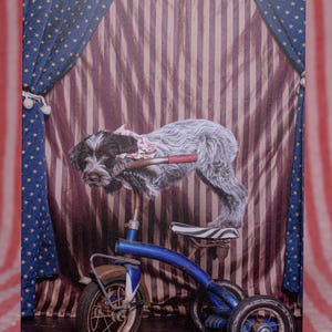 Tarjeta de felicitación de cumpleaños Fotografía Fotografía Bellas Artes Perros peludos Circo Carnaval