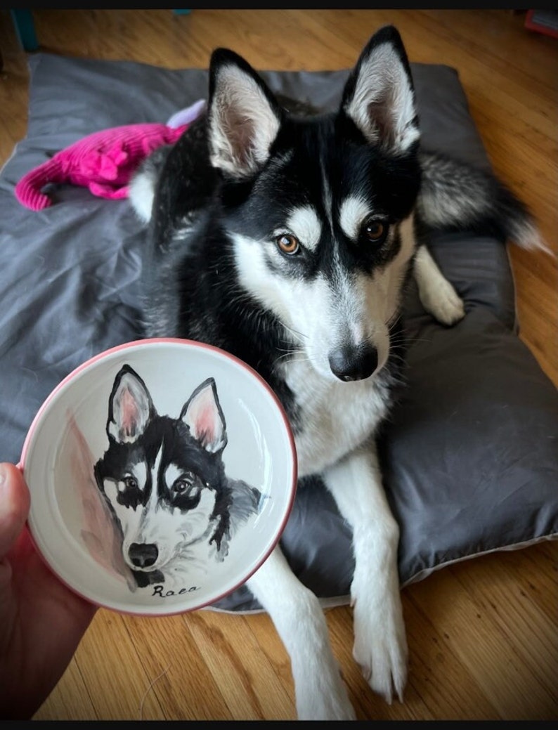 Pet portrait bowl, Custom dog bowl, small dog or cat ceramic bowl, animal lover gift pet dish personalized 5 bowl cat or dog portrait dish image 6