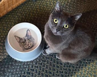 Custom Pet Portrait Bowl: Personalized Dog or Cat Feeding Dish (6 inch diameter)