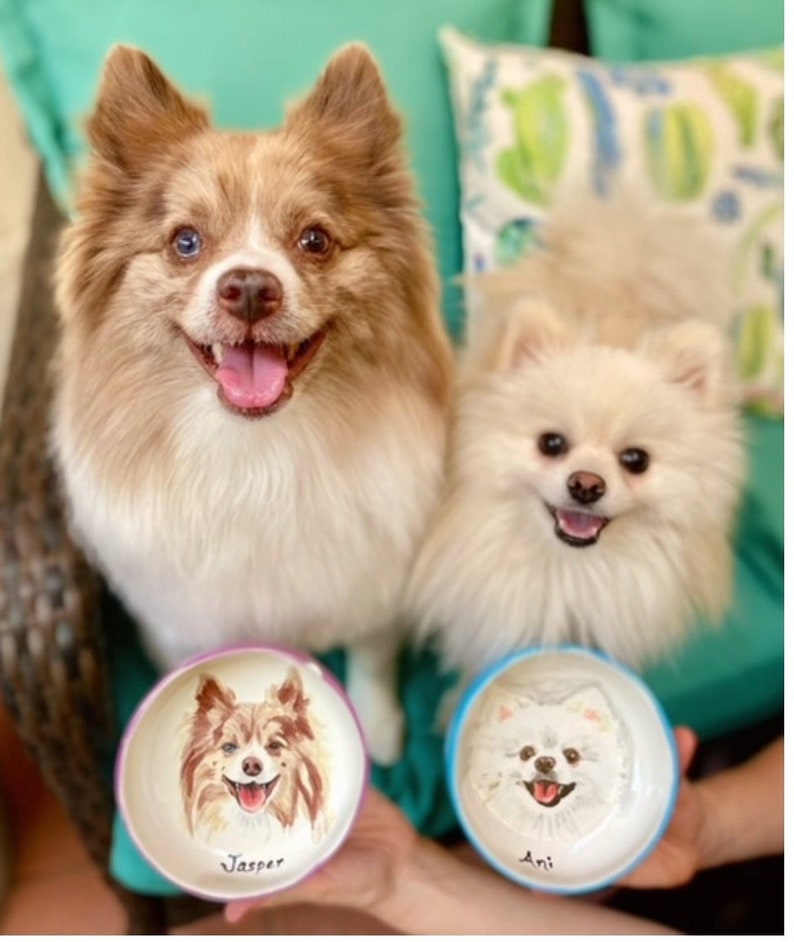 Pet portrait bowl, Custom dog bowl, small dog or cat ceramic bowl, animal lover gift pet dish personalized 5 bowl cat or dog portrait dish image 4