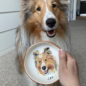 Pet portrait bowl, Custom dog bowl, small dog or cat ceramic bowl, animal lover gift pet dish personalized 5 bowl cat or dog portrait dish image 1