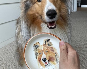 shallow dog dish