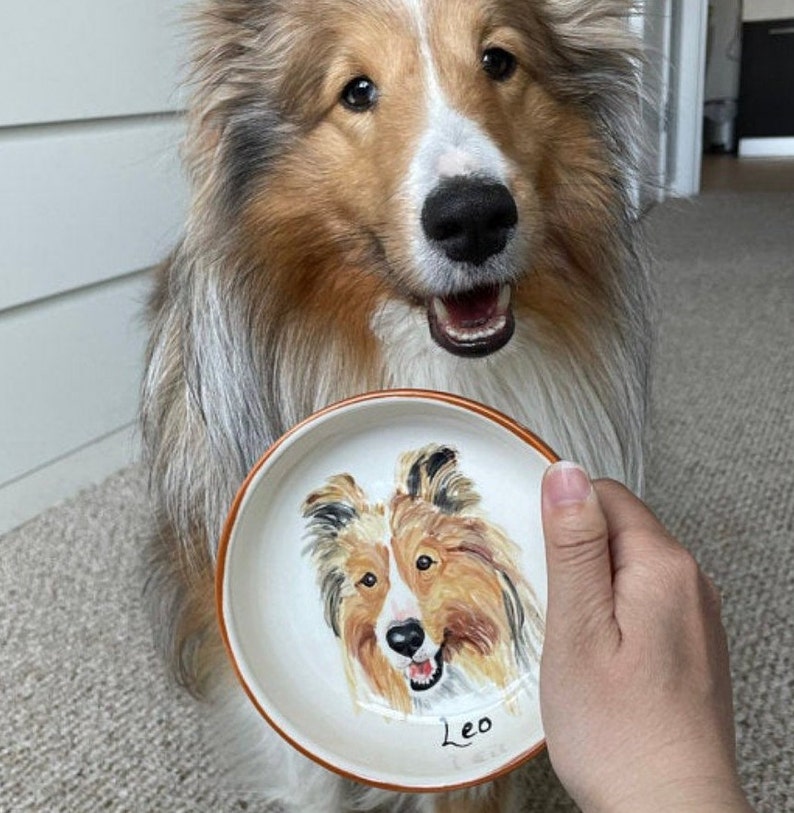 Pet portrait bowl, Custom dog bowl, small dog or cat ceramic bowl, animal lover gift pet dish personalized 5 bowl cat or dog portrait dish image 1