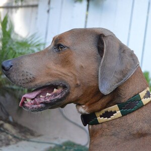 Gaucho Goods Leather Dog Collar - (Green / Beige)