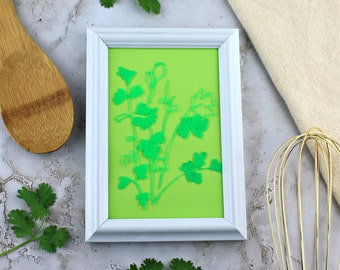 Framed Drawing of Cilantro Herb. Hand-Drawn Botanical Plant Line Art. Gardening Decor Gift for Mother, Grandmother, Aunt, Sister, Neighbor.