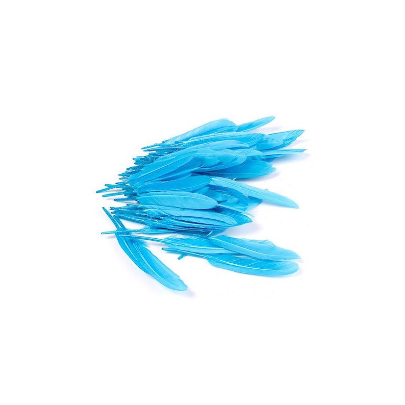 10 blue goose feathers 10 blue goose feathers