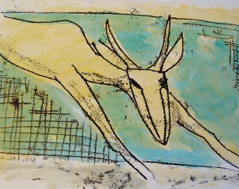 Eye in eye with the gazelle - eye in eye with the gazelle - Auge im Auge mit Gazelle