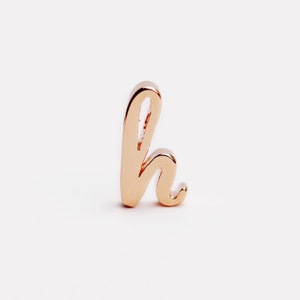 May include: A rose gold letter 'h' in a cursive style, set against a white backdrop. The letter has a polished finish and a flowing design, with a loop at the top and a curved base.
