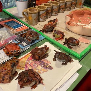 May include: A collection of handmade ceramic mugs and frog figurines. The mugs are tan with brown accents and a handle. The frog figurines are various shades of brown and red, with detailed textures and features. Watercolor paper and paintbrushes are also visible.