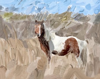 Assateague Pony Art Cards, Set of 6, Coastal Decor