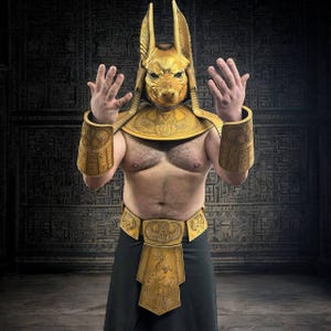 May include: A person wearing a gold Anubis costume with a mask, a collar, arm guards, and a belt. The costume is decorated with hieroglyphics.