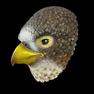 Vogelmaske für Cosplay oder Karneval Maske Falke