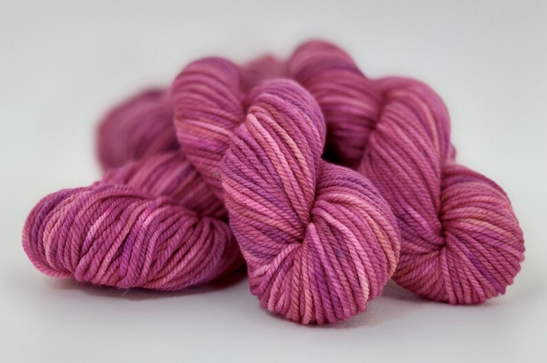 Explorer Variegated Pink