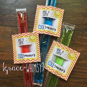 Può includere: Tre sacchetti di leccornie ghiacciate con etichette a motivi chevron arancioni e bianchi. Le etichette hanno un'immagine del sole e il testo "Have a Super Cool Summer".
