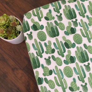 White and Green Cactus