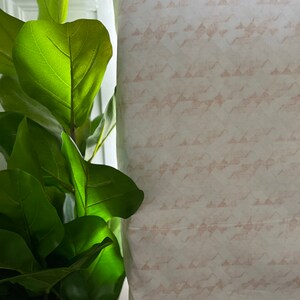 Desert Pink Sand Mountains