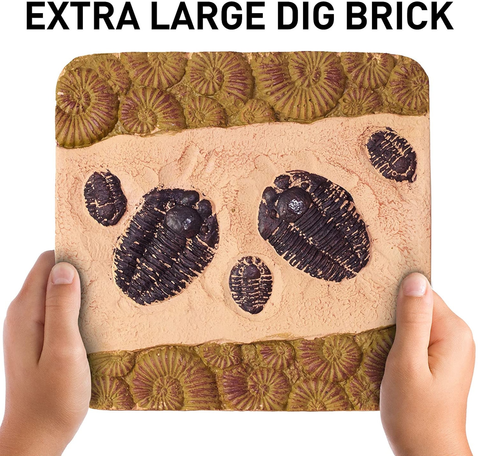mega fossil kit