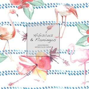 Hibiscus and Flamingos