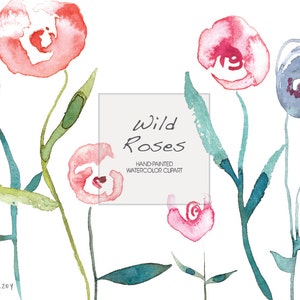 Wild Roses