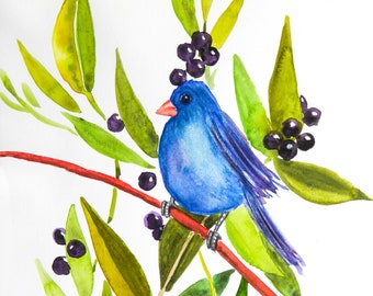 Aquarelle originale peinte à la main Oiseau bleu et cassis