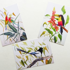 Trio de cartes postales tirées de mes aquarelles originales Les guêpiers d'Europe, la pie et le toucan