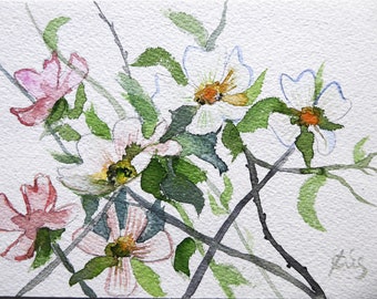 Carte aquarelle originale peinte à la main Fleurs de cornouiller