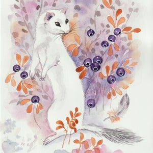 aquarelle originale peinte à la main Hermine et myrtilles