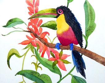 Aquarelle originale peinte à la main Toucan et fleur exotique