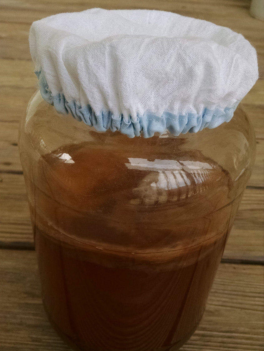 Wide Mouth Jar Fermentation Cap / Cover Perfect for Kombucha Etsy