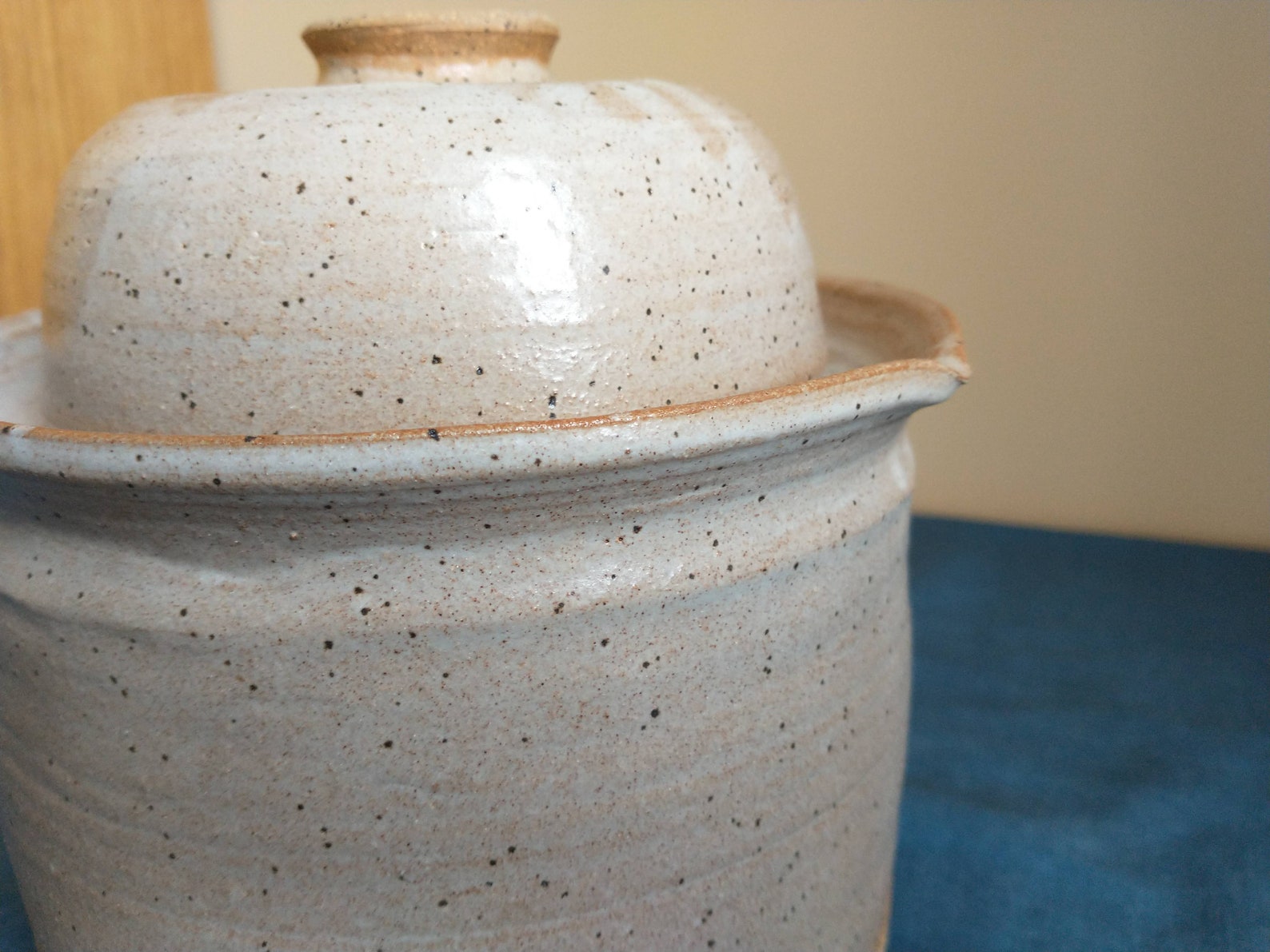 Half Gallon Water Seal Fermentation Crock Holds 9 Cups Etsy