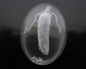 Cabujón de cristal calcográfico "Corbata de plumas medicinales"