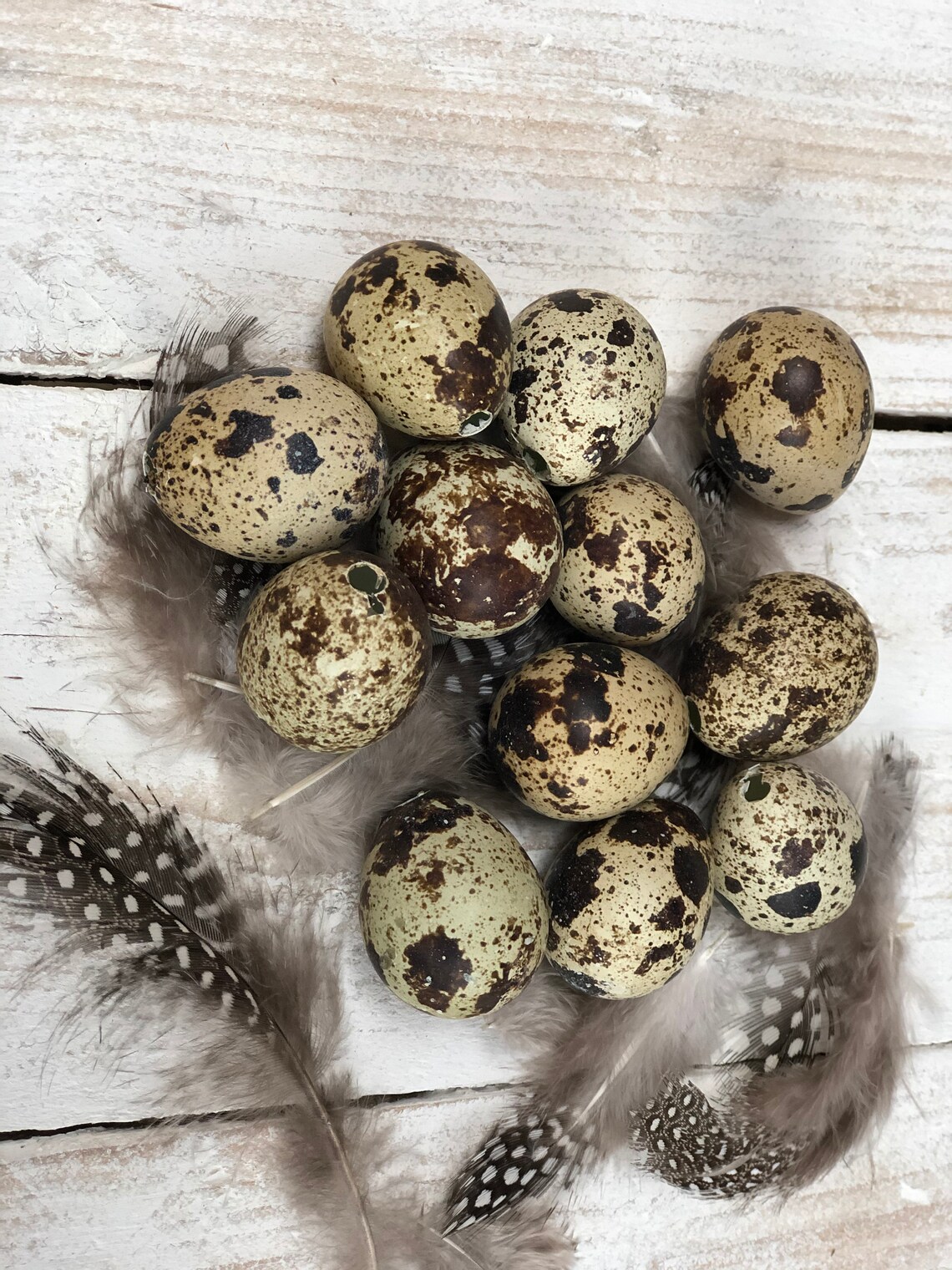 Quail Eggs. Blown Quail Eggs Natural/brown. Easter Etsy UK