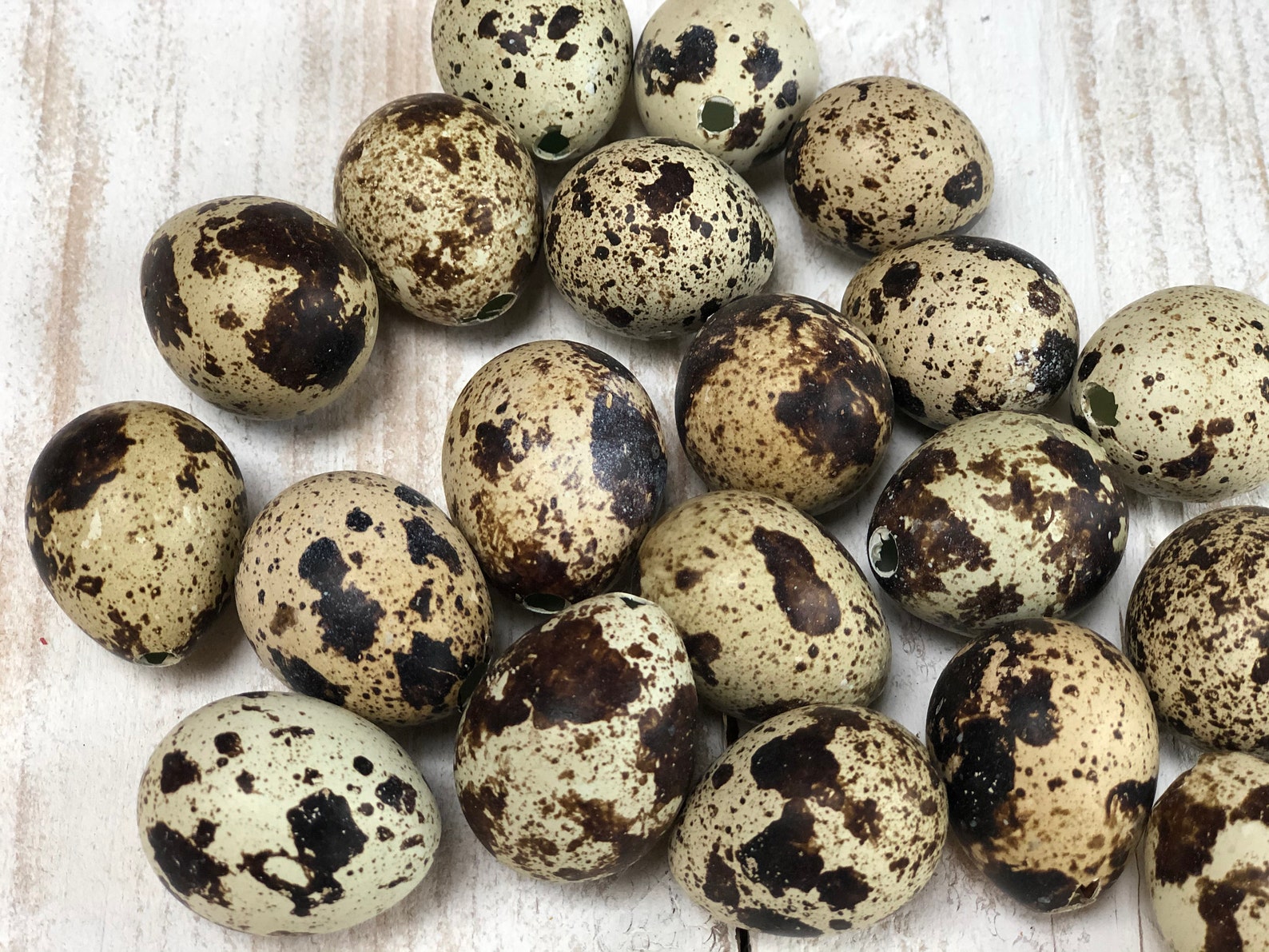 Quail eggs. Blown quail eggs Natural/Brown. Easter Etsy