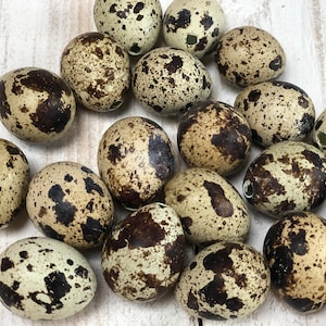 May include: A group of speckled brown and white quail eggs on a white wooden surface.