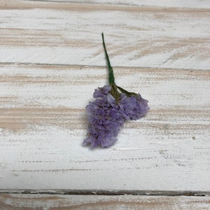 Dried Flower Hair Pins/Wires in shades of Blue, Purple and Lilac. Lilac Statice