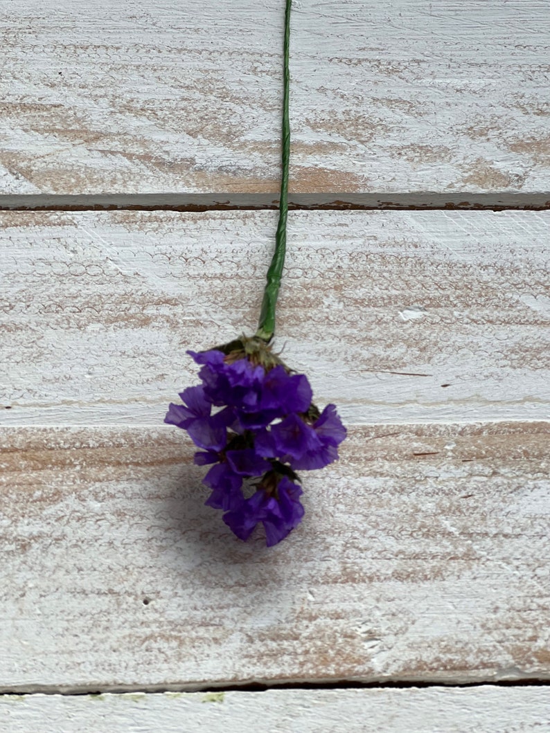 Dried Flower Hair Pins/Wires in shades of Blue, Purple and Lilac. Purple Statice